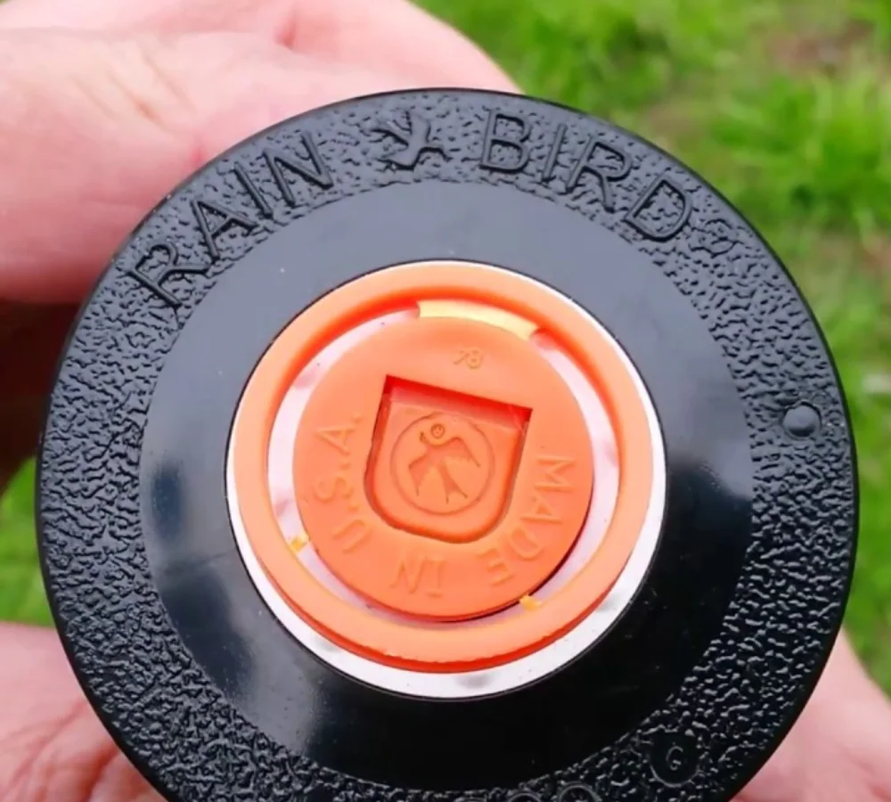 1804 Rain Bird Arriba