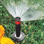 PRO SPRAY 04