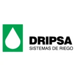 Dripin portada