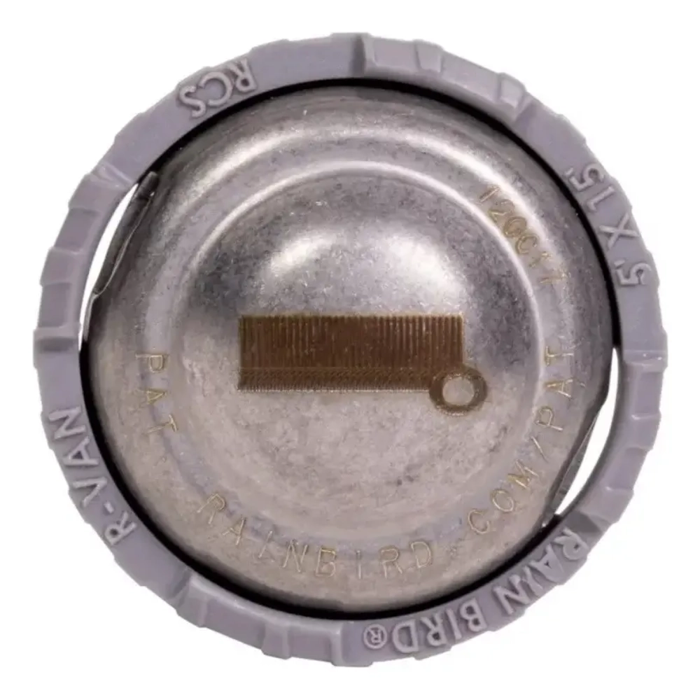 R-VAN RCS (1)
